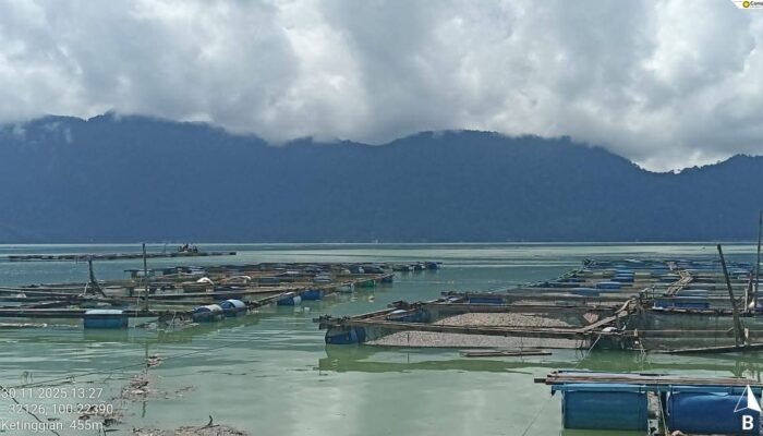 252 Ton Ikan Mati, Kerugian Sementara Tembus Rp 12,28 Miliar