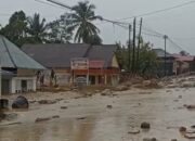 Hujan Berintensitas Tinggi, Banjir Bandang Muaro Pisang kembali Terjang Maninjau
