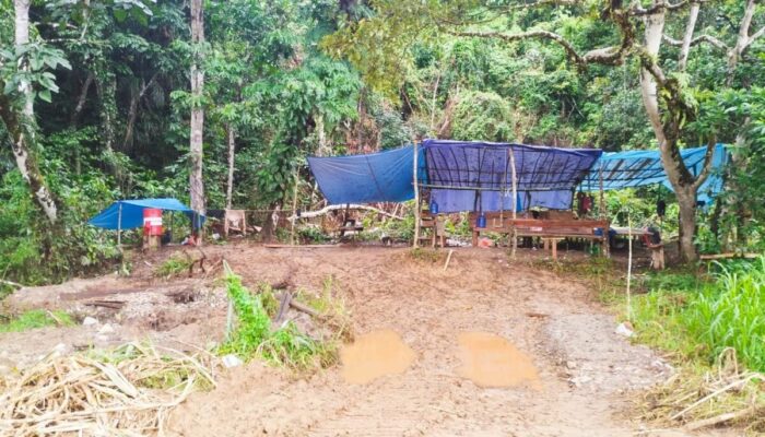 Polisi Temukan Bekas Tambang Emas Ilegal di Batang Kampar