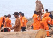 1.100 Ton Kayu Gelondongan Menumpuk di Sepanjang Pesisir Pantai