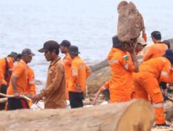 1.100 Ton Kayu Gelondongan Menumpuk di Sepanjang Pesisir Pantai