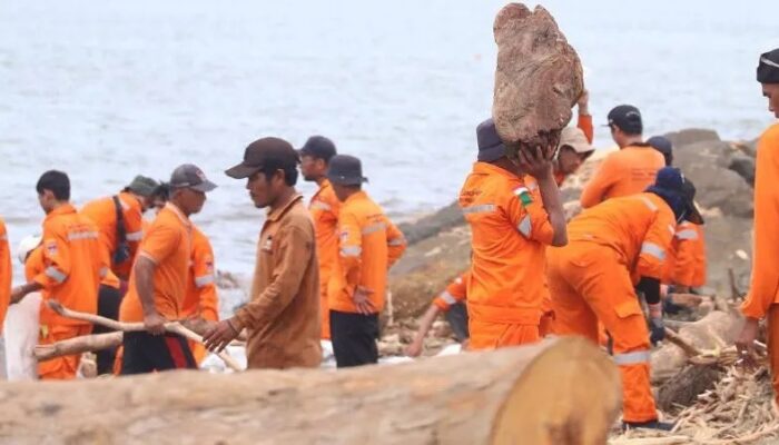 1.100 Ton Kayu Gelondongan Menumpuk di Sepanjang Pesisir Pantai