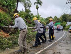 Pemulihan Jaringan jadi Prioritas Utama PLN, Kerahkan Seluruh Sumber Daya