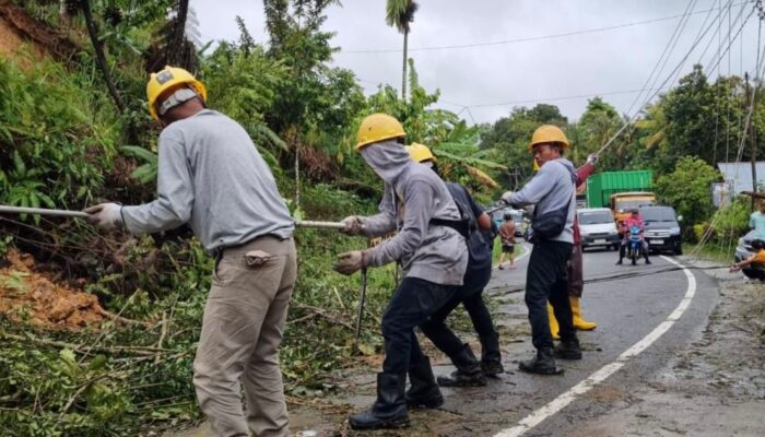 Pemulihan Jaringan jadi Prioritas Utama PLN, Kerahkan Seluruh Sumber Daya