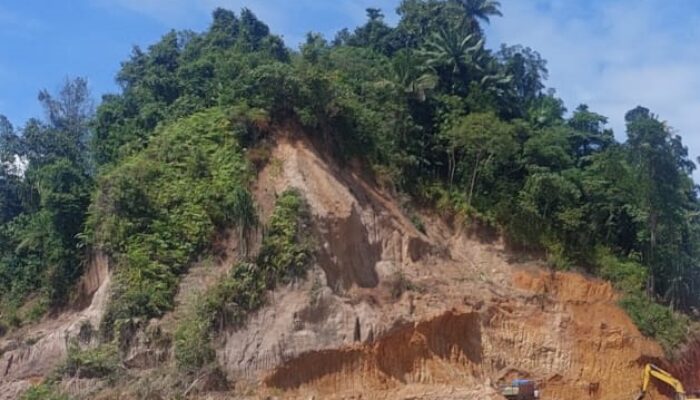 Perketat Persetujuan Lingkungan, Antisipasi Pembukaan Penambangan tak Berizin