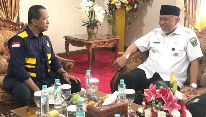 Disetujui Kementerian ESDM, 301 Blok WPR Ditetapkan Akhir Januari Ini