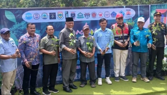 Gerakan Sejuta Pohon untuk Sumbar, Dorong Pemulihan Ekologis