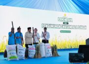 Kurangi Ketergantungan pada Impor, Perkuat Ketahanan Pangan