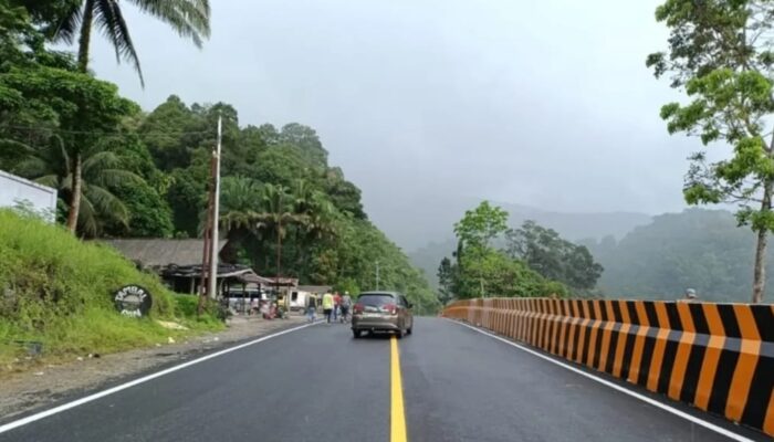 Perkuat Lapisan Tebing, Longsor Puncak Anai Tuntas Ditangani