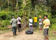 Warga Lubuk Betung Resah, Harimau Mangsa Ternak