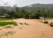 Hujan Deras, Pasar Lalang Kuranji Dilanda Banjir
