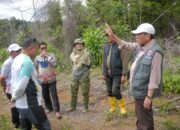 Percepat Pembangunan Huntap untuk Korban Bencana