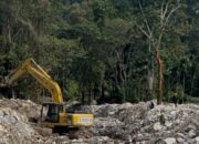 Pulihkan Fungsi Sungai, Kurangi Potensi Risiko Banjir