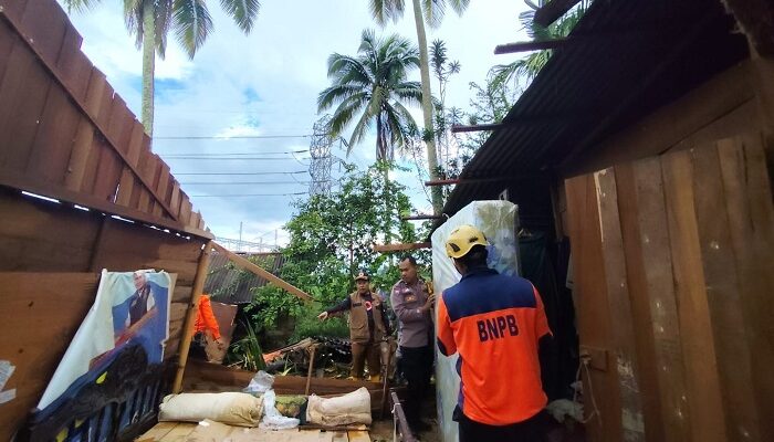Hujan Lebat dan Badai, Pohon Kelapa Timpa Rumah Warga