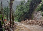 192 Rumah Warga Terendam, Jalur Bukittinggi–Maninjau Kembali Normal