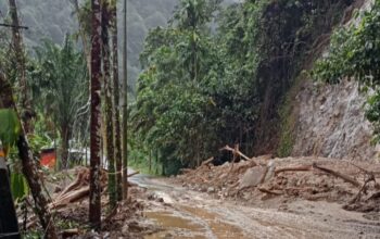 192 Rumah Warga Terendam, Jalur Bukittinggi–Maninjau Kembali Normal