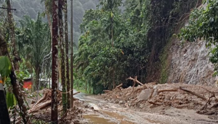 192 Rumah Warga Terendam, Jalur Bukittinggi–Maninjau Kembali Normal