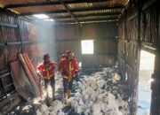 Gudang Springbed di Kuranji Terbakar, Kerugian Capai Rp 90 Juta