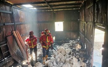 Gudang Springbed di Kuranji Terbakar, Kerugian Capai Rp 90 Juta