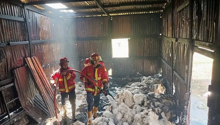 Gudang Springbed di Kuranji Terbakar, Kerugian Capai Rp 90 Juta