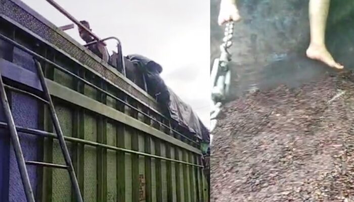 Aksi Begal Truk Inti Sawit Marak di Jalur Lubukbasung–Sungailimau