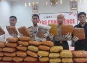 Gudang Ganja 43 Kg Ditemukan di Batang Anai, Satu Tersangka Ditangkap