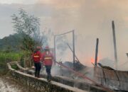 Satu Orang Mengalami Luka Bakar, Kebakaran Hanguskan Rumah, Warung, dan Mobil