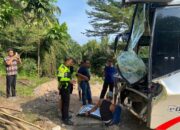 Hendak Menyalip, Bus Palala Tabrak Truk Batu Bara di Jalinsum Sijunjung