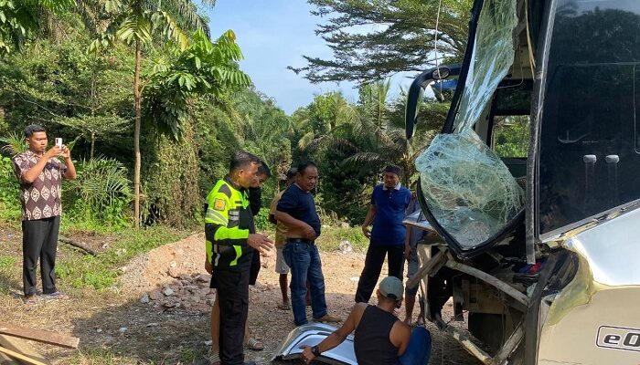 Hendak Menyalip, Bus Palala Tabrak Truk Batu Bara di Jalinsum Sijunjung