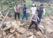 Polisi Dalami Kasus Kecelakaan Kerja di Dharmasraya