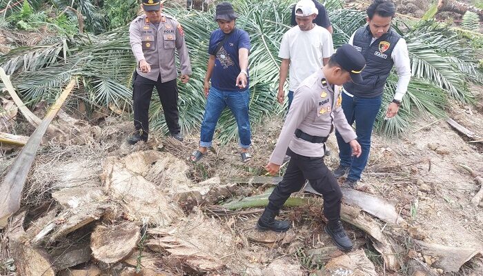 Polisi Dalami Kasus Kecelakaan Kerja di Dharmasraya