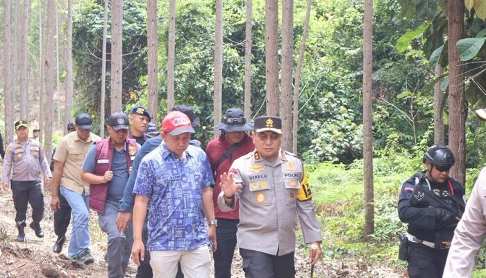 Bantai Gajah Sumatera, Polda Nyatakan Perang Lawan Pemburu Liar