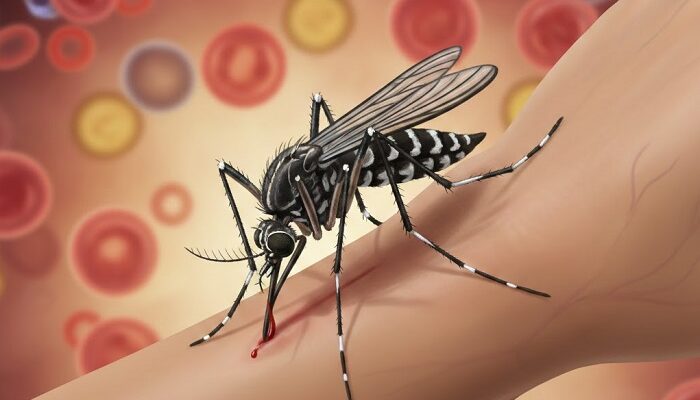 Kasus DBD Mulai Marak, Masyarakat Diminta Waspada