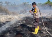 Gawat, Pemprov Tetapkan Siaga Darurat Karhutla hingga 30 November