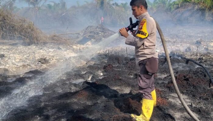 Gawat, Pemprov Tetapkan Siaga Darurat Karhutla hingga 30 November